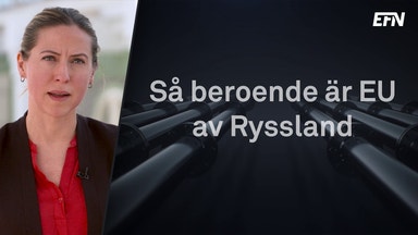 Så ska EU klara sig utan rysk olja och gas