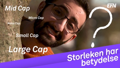 Skillnaden mellan små och stora bolag