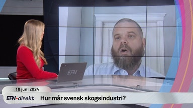 Så mår svensk skogsindustri egentligen