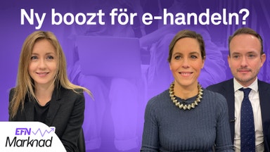 E-handlaren räknar med kämpigt 2023