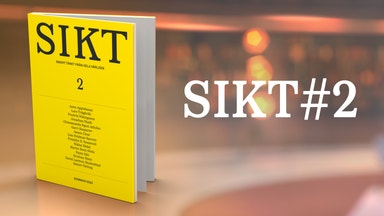 Wikingsson, Idle och Trägårdh i Sikt #2