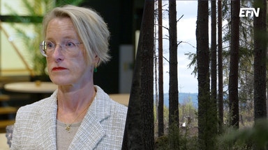 Prisdumpning från Kina pressar svensk skogsindustri