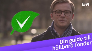 Många nyanser av grönt i hållbara fonder