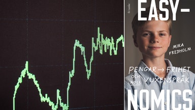 Ekonomi – lätt som en plätt