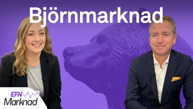 Så investerar du under en björnmarknad