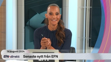 Motvind för Vestas och avtagande inflation