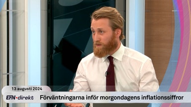 Ekonomen: Detta kan sätta käppar i hjulet för Riksbanken