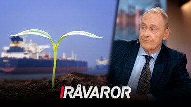 Matprisoro i Irankrigets spår - "Ingen konstgödsel - inga livsmedel"