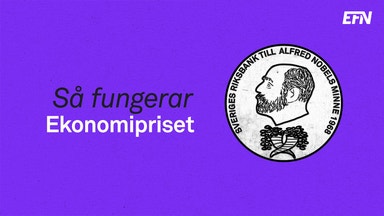 Så fungerar Ekonomipriset