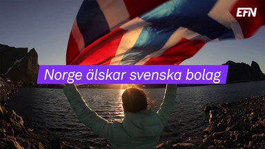 Norska oljefondens svenska favoriter