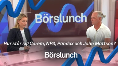 Så går det för fastighetsbolagen i rapportfloden