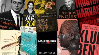 Lasermannen toppar Sikts litteraturkanon