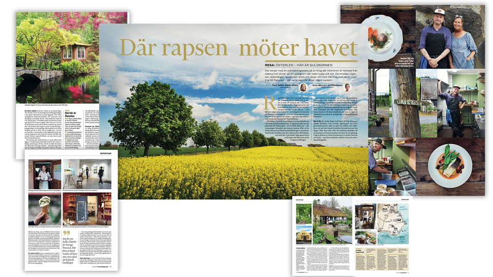 nr 13 reportage