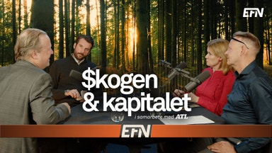 Varsel i skogsbranschen kan ge glädjeskutt på börsen