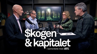 Miljardvärden på spel i stormen Johannes spår