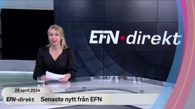 EFN Direkt: Allt du behöver veta om rapportfloden