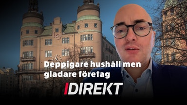 Experten om konjunkturen: ”Mellanmjölksläge i näringslivet”