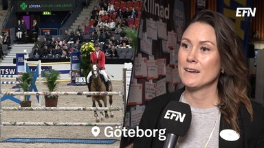 Hästbranschens hetaste trender