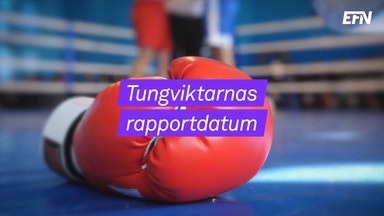 Då rapporterar Sveriges bolagsjättar