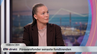 Försvarsfonder – toppsignal eller toppenplacering?
