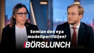 Vinstvarning väcker frågor – är återhämtningen hotad?