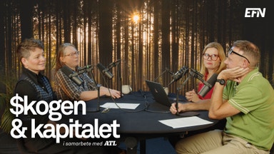 Omställning i skogen splittrar grannar