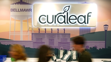 Cannabis rusar på börsen – besked från Vita huset uppges nära