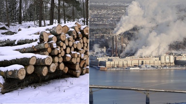 Rapport: Därför lossnar det inte för skogsbolagen