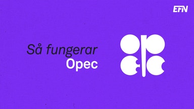 Så fungerar Opec