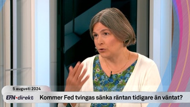 EFN Direkt 5 aug. 11:30: USA-experten kritiserar Feds räntepolitik