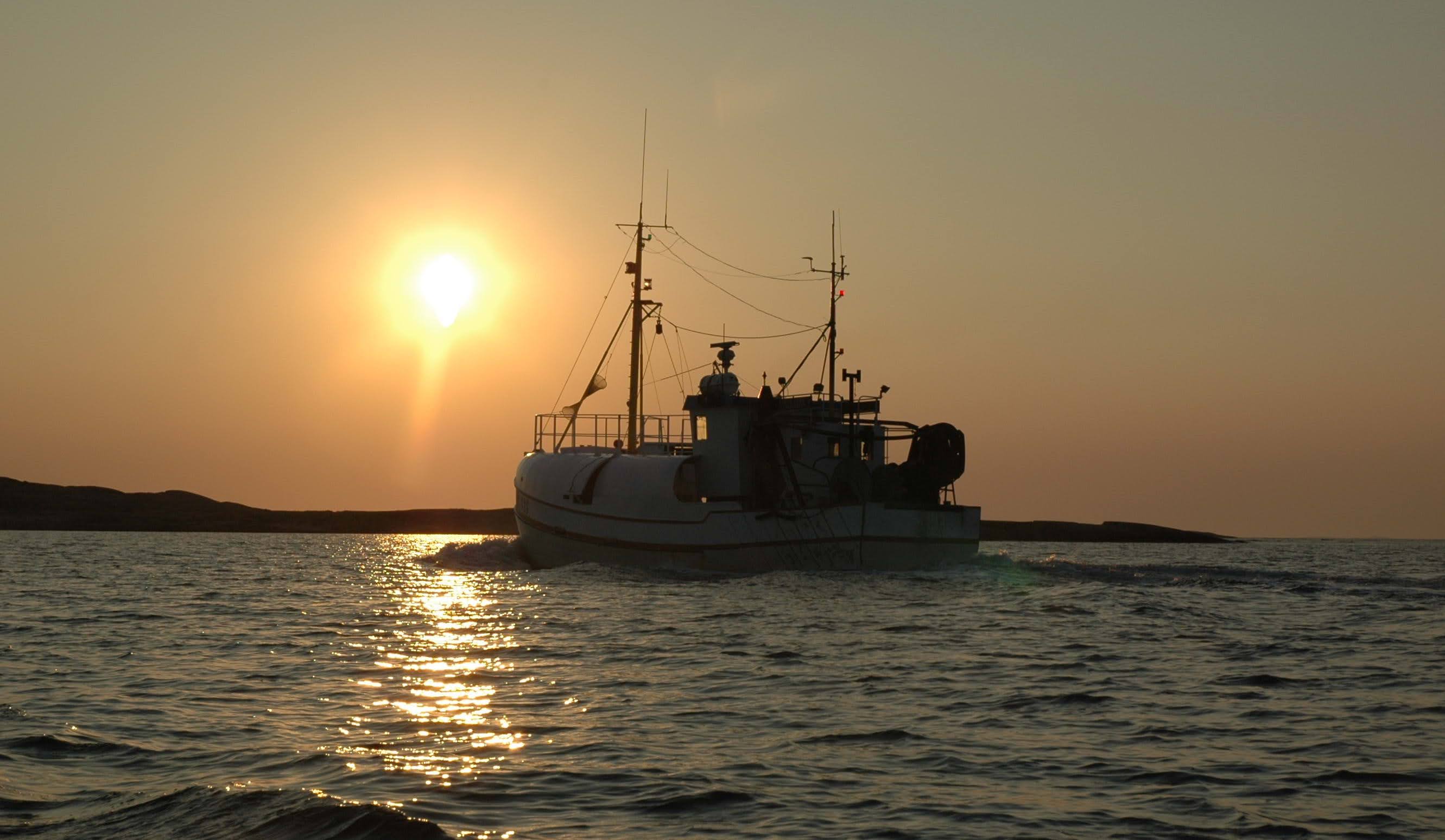 En fiskebåt på havet i solnedgång med gyllene ljus som reflekteras i vattnet.
