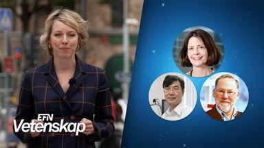 Nobelprisbelönad forskning kan omprogrammera immunförsvaret