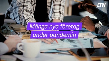 Rekordmånga nya företag