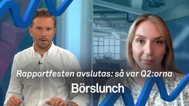 Bolagen som stack ut i rapportfloden