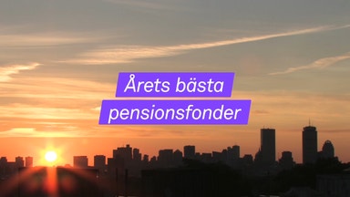 Fonderna som klarat coronakrisen bäst
