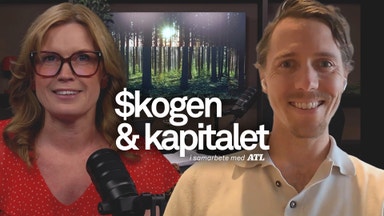 Skogens skräp kan bli guld