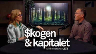 Flygande skogsmaskiner – så vill AirForestry förändra branschen