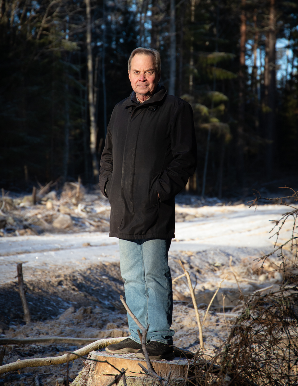 Karl Hedin Skog Skogen