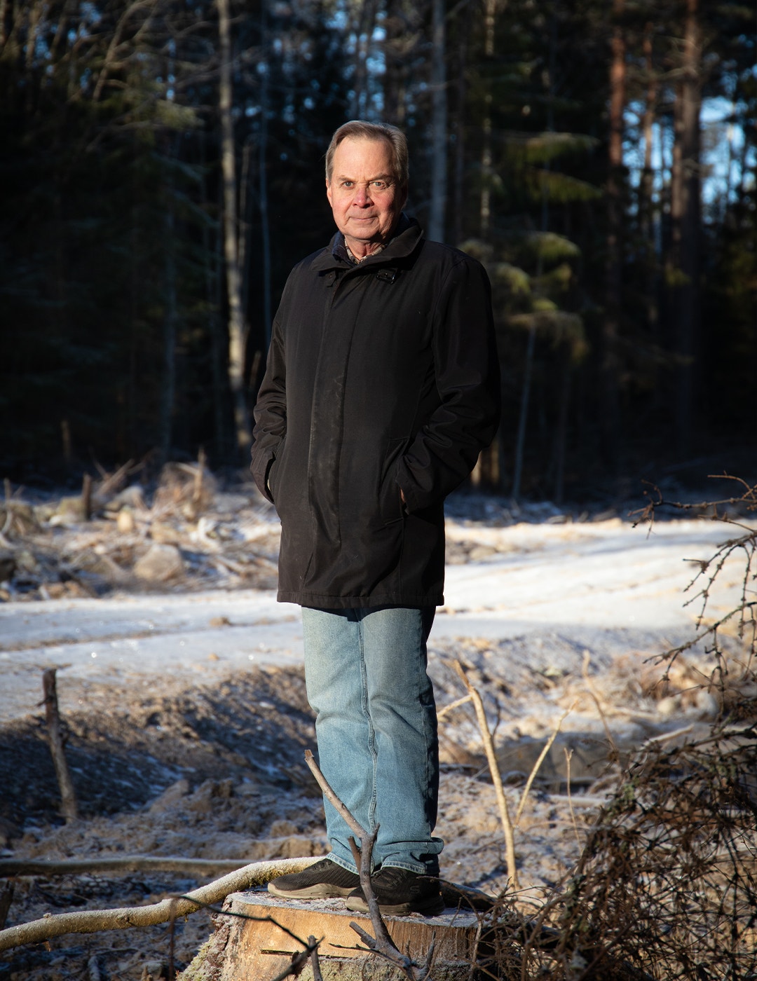 Karl Hedin Skog Skogen