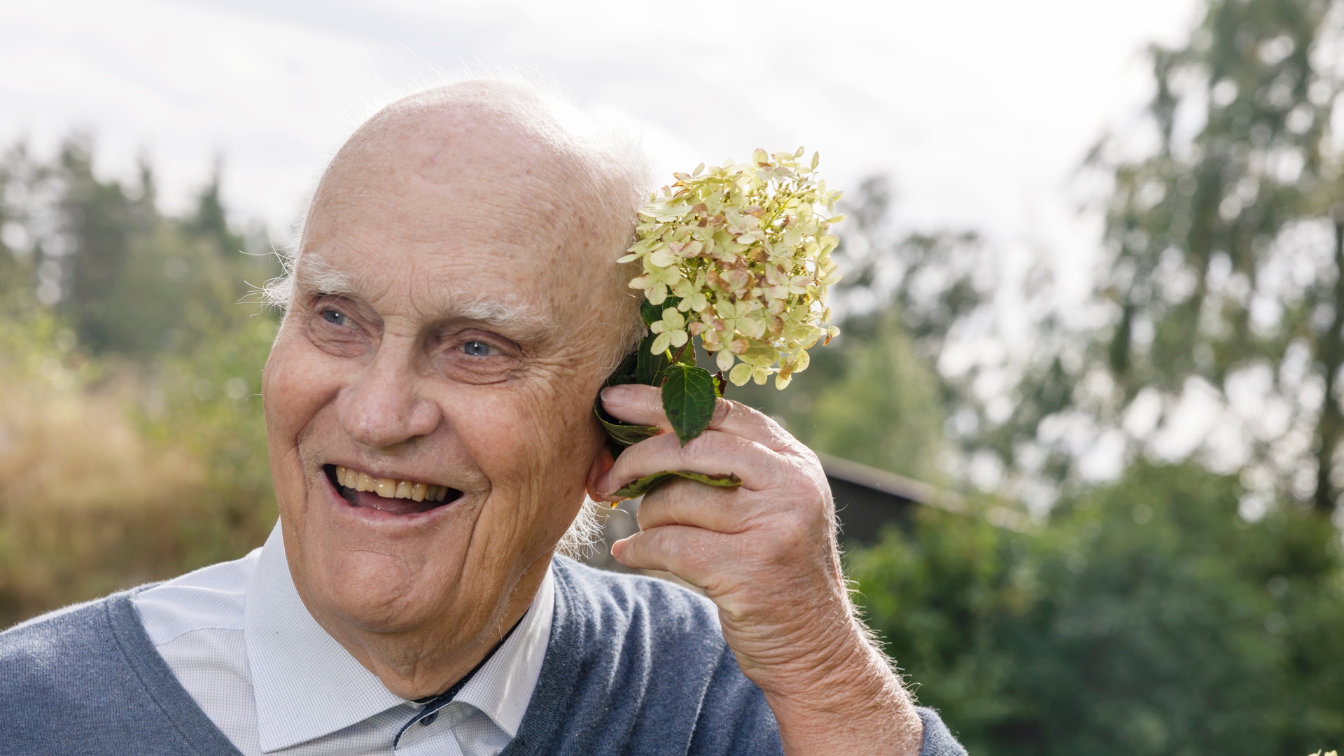 En äldre man som ler och håller upp en gul hortensia framför sitt öra. Gröna träd syns i bakgrunden.