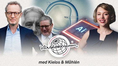 81. AI-rusets baksmälla och fertilitetens fall