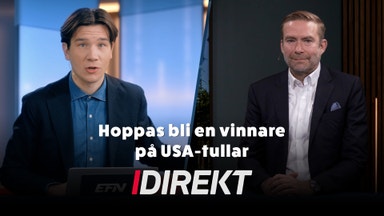 Electrolux vd: Nordamerika driver tillväxten