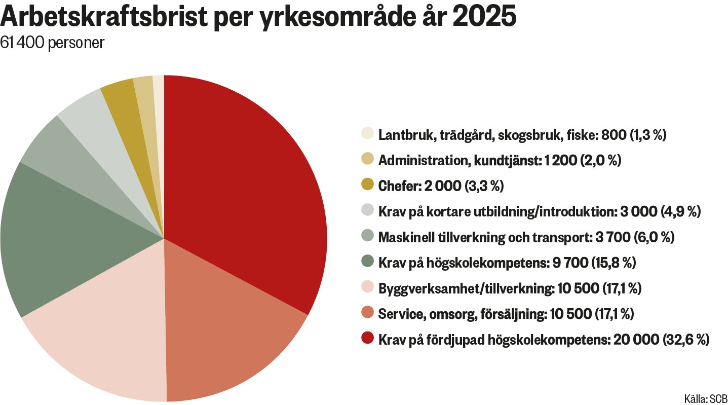 Cirkeldiagram över arbetsmarknadens behov av kompetenser per yrkesområde år 2025. Visar att det största behovet är för högskolekompetenser med 20 000 personer, följt av service och omsorg med 10 500 personer.