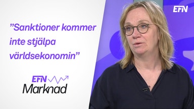 Chefsekonomerna om sanktionerna, konjunkturen och energin