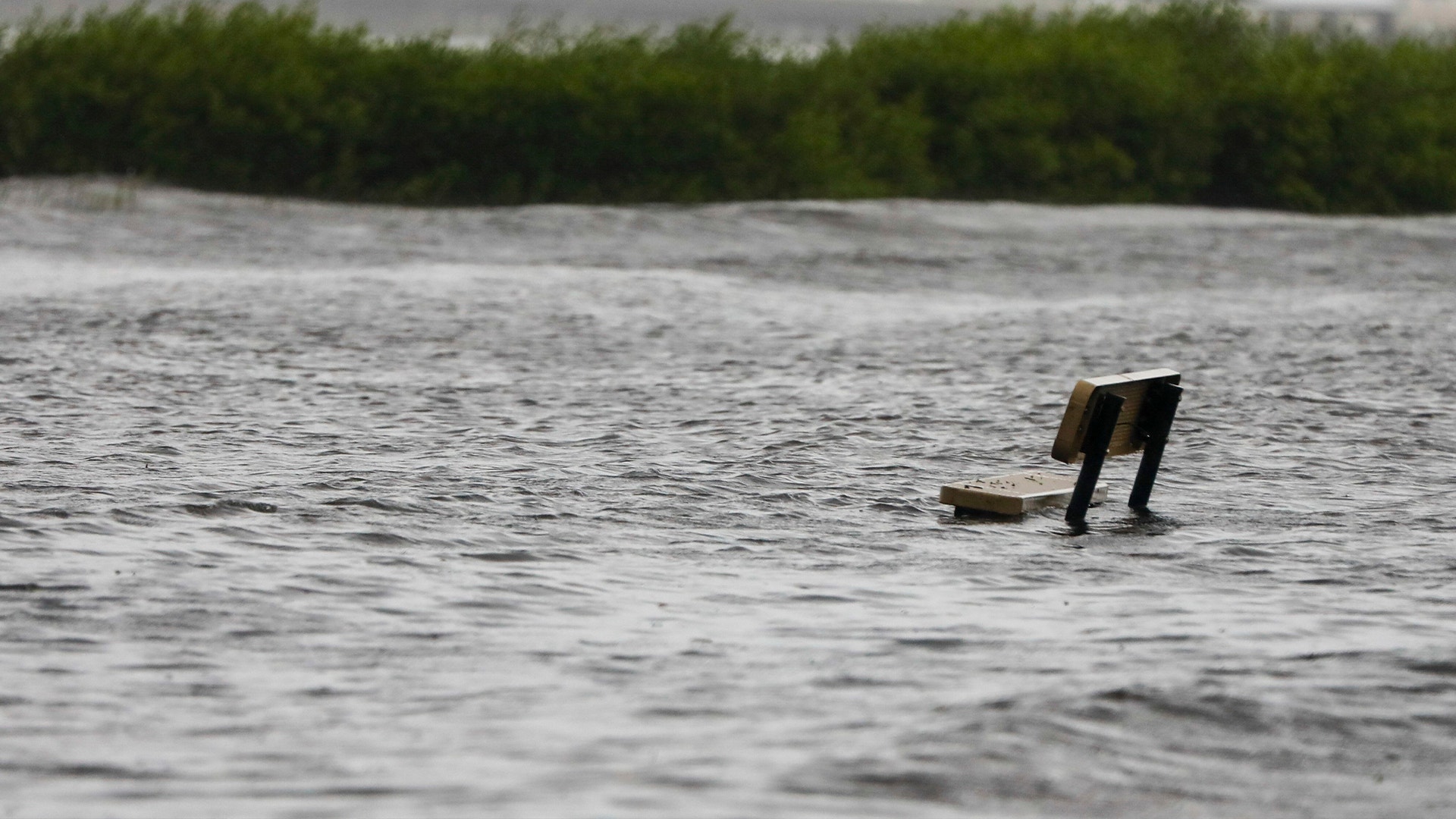 Ryggstödet på en bänk sticker upp i ett översvämmat florida.