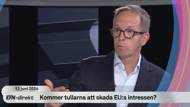 Analytikern om EU:s nya elbilstullar