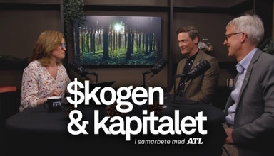 Den stora artskyddsdebatten