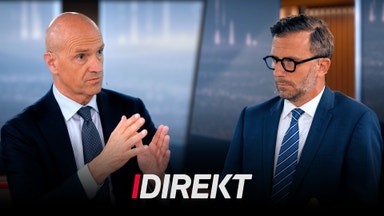 Handelsbankens vd Michael Green om det andra kvartalet