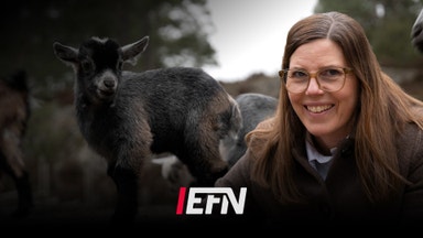 Vinstökning för Kolmården – djur och Bamse lockar