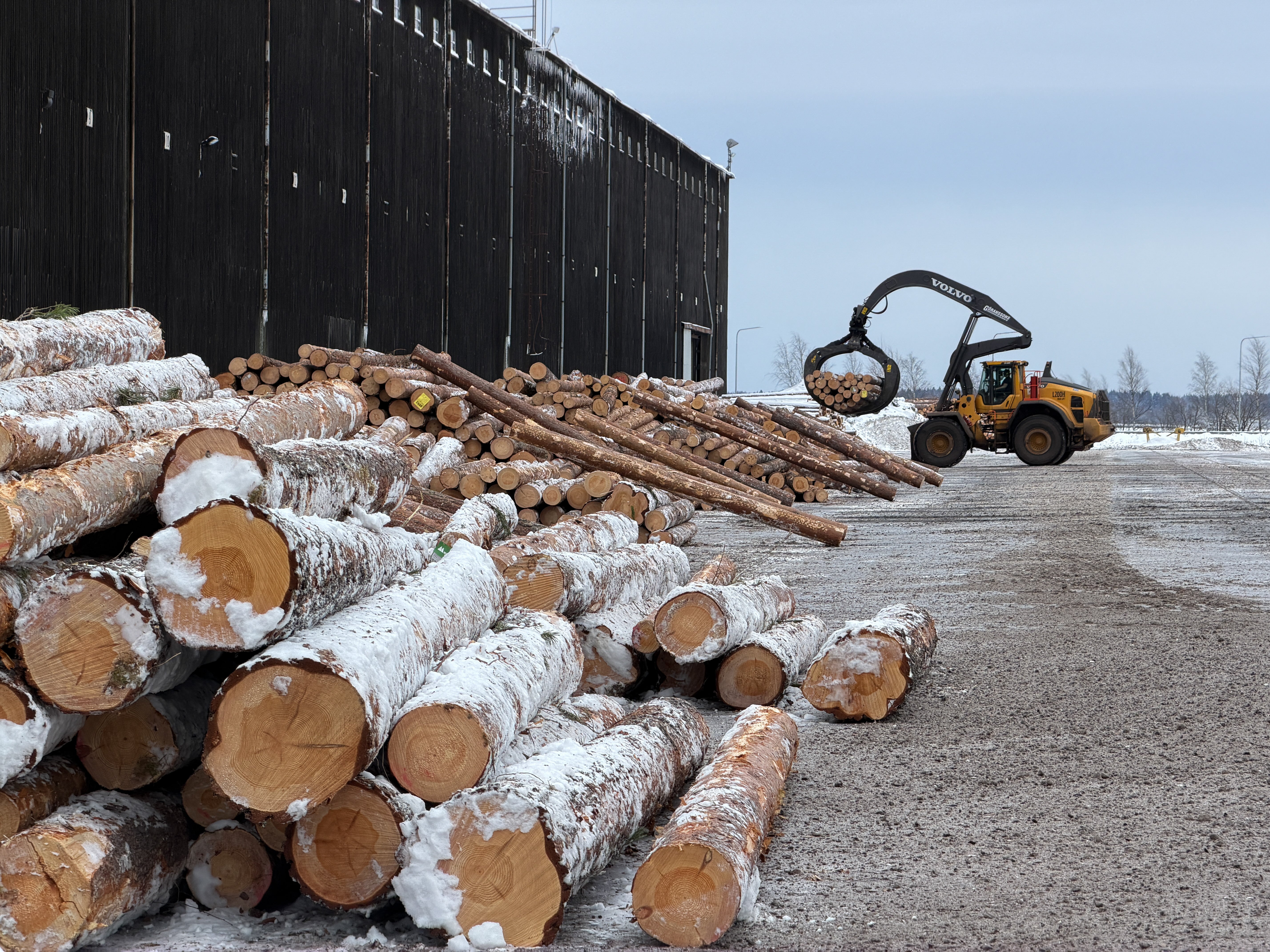 Stormfällt timmer ger andrum för pressad sågverksindustri